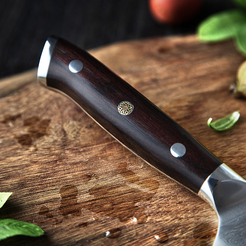 Kizaru Professional Japanese Chef Knife Set - Official Retailer